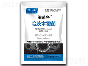 ����ľù��-������-ؐ���S