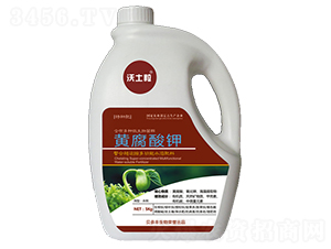 ��ֲ���-������-ؐ���S