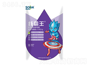 ���ġ��������߾�-������-˹��ķ