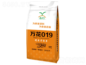 �f��019��10kg��-�����N��-������