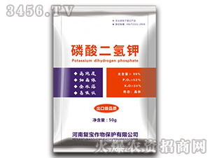 50g��������-�͌�����