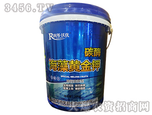 ̼ø�����S���-�A��(r��n)�s��