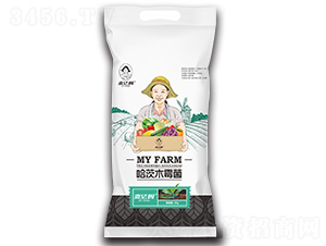 ����ľù��-����ķ-��������