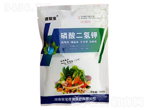 ��������-�T�͌�-�͌�����