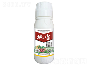 �،�-���䌍(sh��)�I(y��)