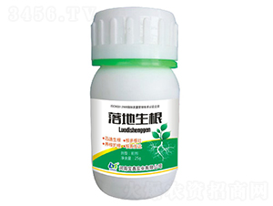 �������-���䌍(sh��)�I(y��)