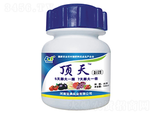 ������������÷�-���-���䌍(sh��)�I(y��)