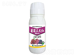 ��������t-���䌍(sh��)�I(y��)