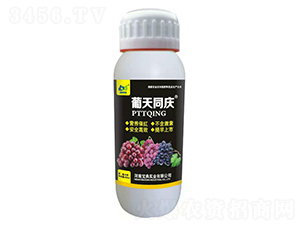 ���Ѵ߼t��-����ͬ�c-���䌍(sh��)�I(y��)