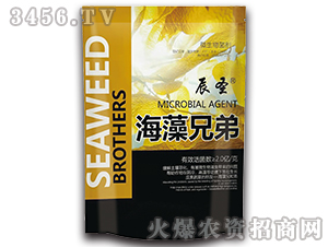 �����ֵ�-��ʥ