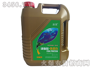 ���~�ġ��~����-��ʥ