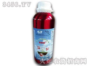 �����Xƿ-�����