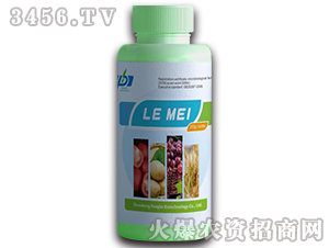 ����-�����