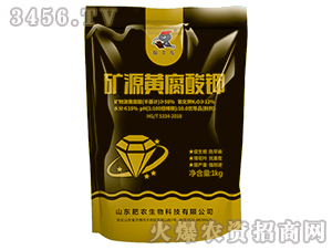 �VԴ�S�����-���S�B-���r(n��ng)����