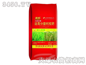 ������Y��辷�-�ԣ