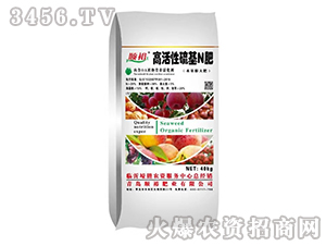 �߻������N��-�ԣ