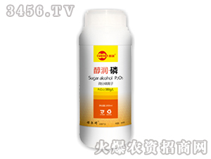 ��������-�Z����