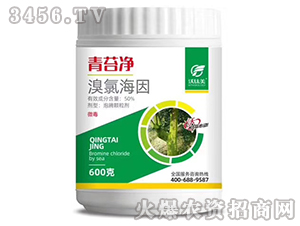 ��̦�������Ⱥ���-�����