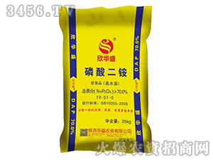 ������@19-51-0-���Aʢ