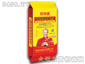 ΢�������-���Aʢ