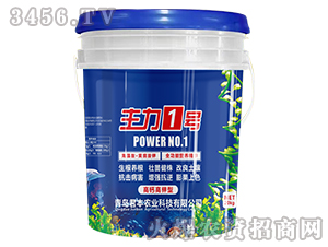 �����ᡤ�S�����-����1̖-�����r�I(y��)