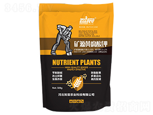 �VԴ�S�����-���