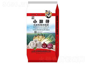 ���⌣�Û_ʩ��-С����-�h��ʘI(y��)