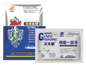 ����һ����-���������P(p��n)��-���`�S