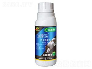 ���o(h��)�l(w��i)΢�������-���SԴ-���`�S