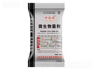 2�|΢�������-���n��-ʢ�����B(t��i)