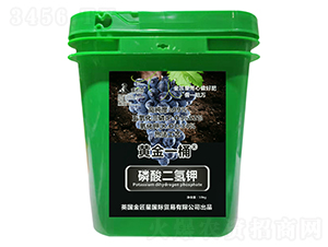 ��������-����