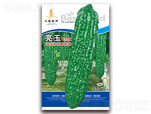 ����-��ϷN��-�����r(n��ng)��