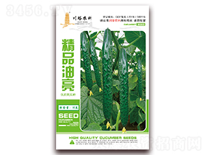 ��Ʒ����-�S�ϷN��-�����r(n��ng)��