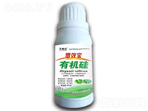 ��Ч���ЙC��-�f�ڼt-���{�d 