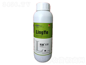 �����`Һ-������A