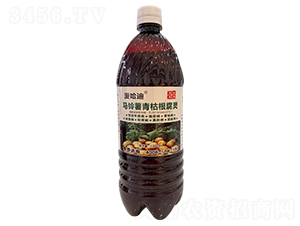 �R�����ݸ����`-������