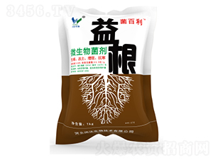 ΢�������-���-�c������