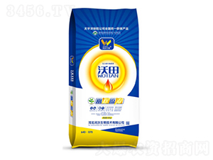 ΢�������-����-�c������