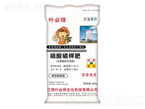 ������⛷�-�~�ؾG