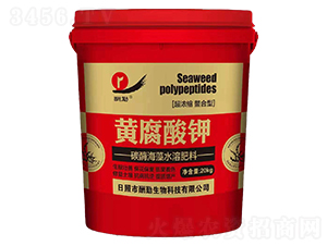 20kg�S�����-����