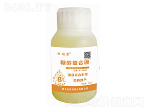 �Ǵ�������-������-�����