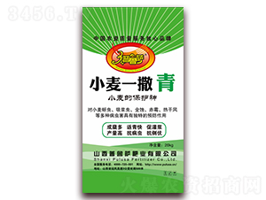 С��һ����-�����_