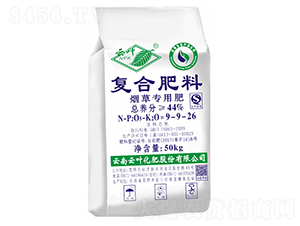 ���݌��Ï�(f��)�Ϸ���9-9-26-���~����