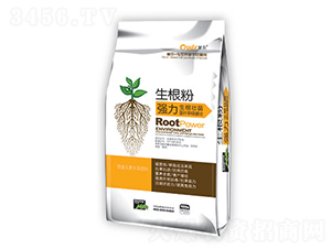 ������-�䠖-�|������