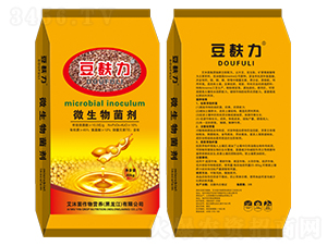 ΢�������-������-����}