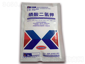 ��������-�ư�����