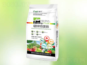 ���\�}�V�F������-�䠖-�|������ 