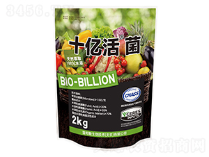 ʮ�|���-�װ�˹