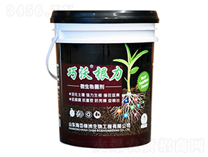 ΢�������-���ָ���-��᷾G��