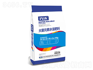 ����Ԫ��ˮ�ܷ���19-19-19+TE-����-��᷾G��